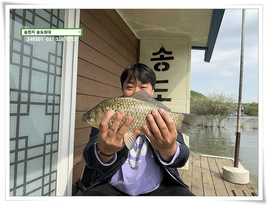계절의 여왕 5월 첫 덩어리 (유료터정보 - 유료터점주조황)