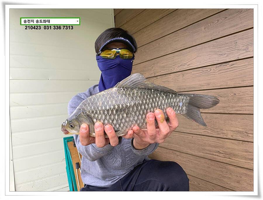 4짜의 산란 ing송전지 송도좌대 조황 (유료터정보 - 유료터점주조황)