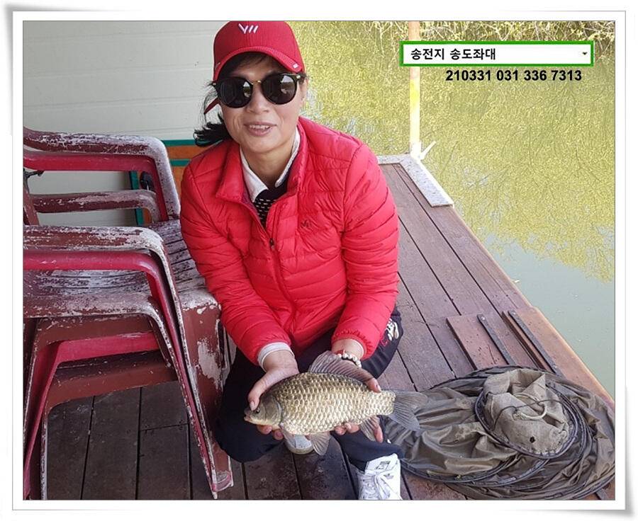 용인 송전지 송도좌대 조황 (유료터정보 - 유료터점주조황)