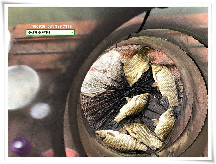 가을 수확 (유료터정보 - 유료터점주조황)