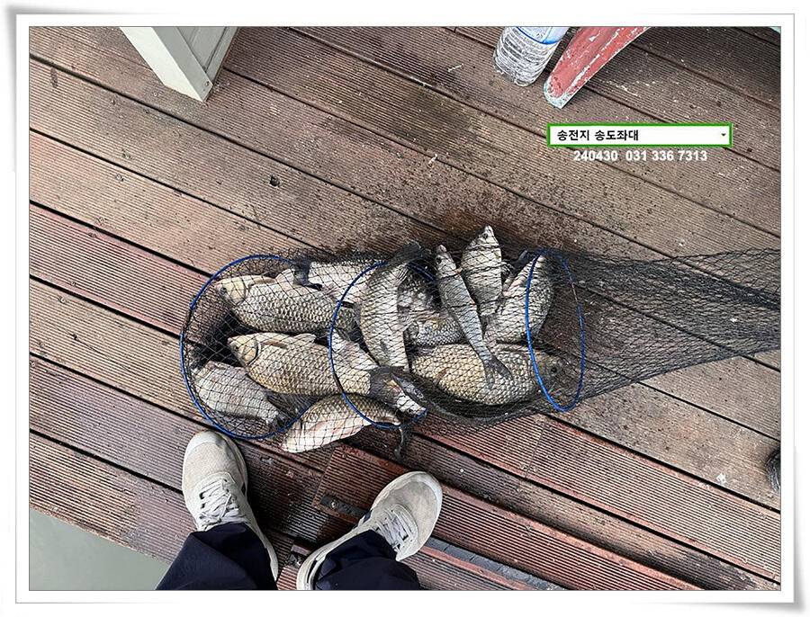 4월 마지막 4짜 (유료터정보 - 유료터점주조황)