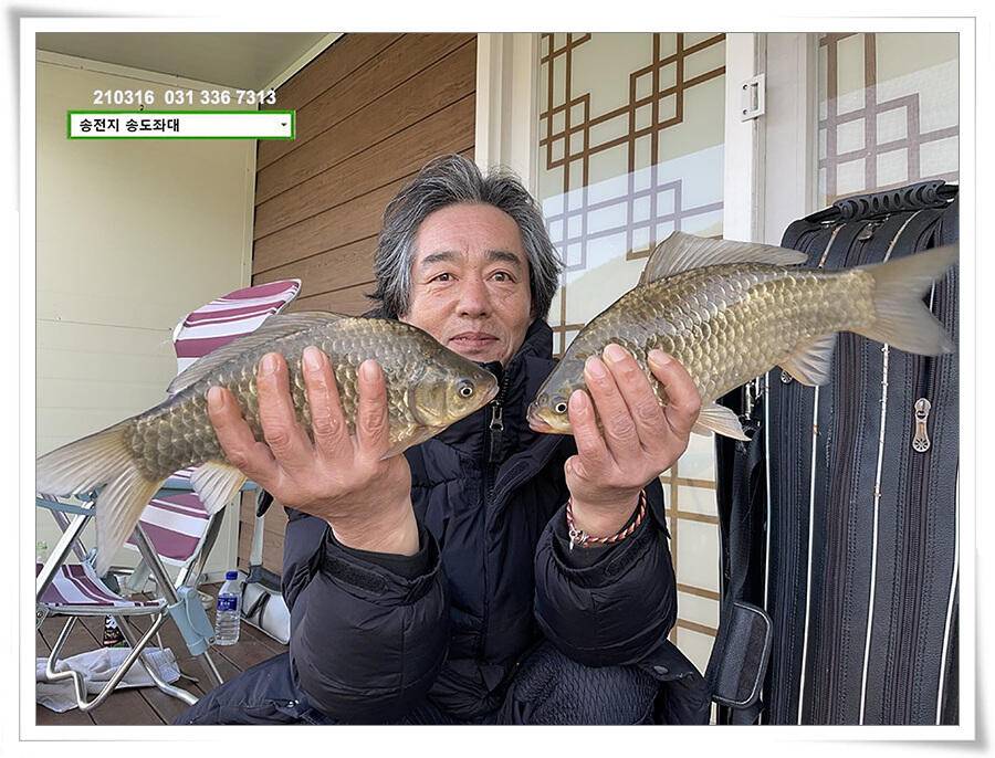 근사한 덩어리 낚기 송전지 송도좌대 조황 (유료터정보 - 유료터점주조황)