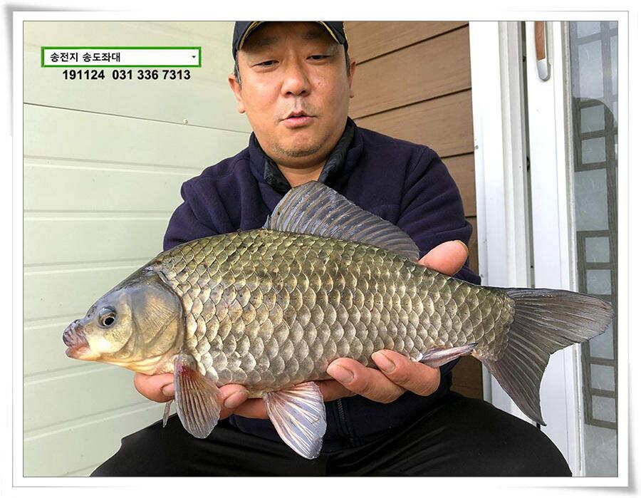 11월의 어느 멋진 날에 (유료터정보 - 유료터점주조황)
