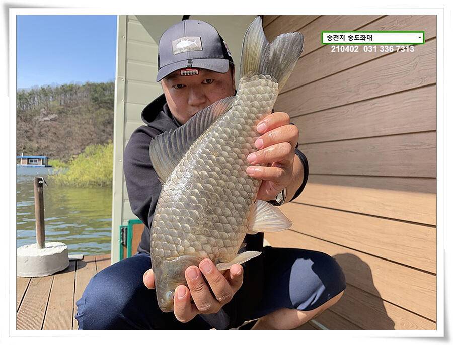 4짜 잼 꿀 잼 용인송전지 송도좌대 조황 (유료터정보 - 유료터점주조황)