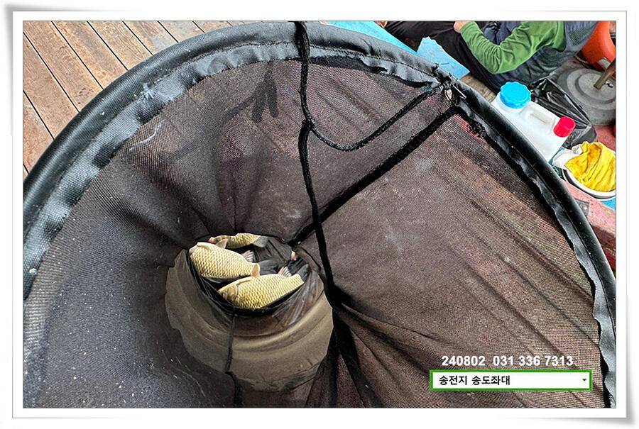 주말 휴일 조황 (유료터정보 - 유료터점주조황)