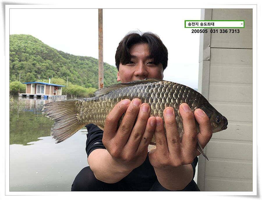 송전지 송도좌대 연휴조황 (유료터정보 - 유료터점주조황)