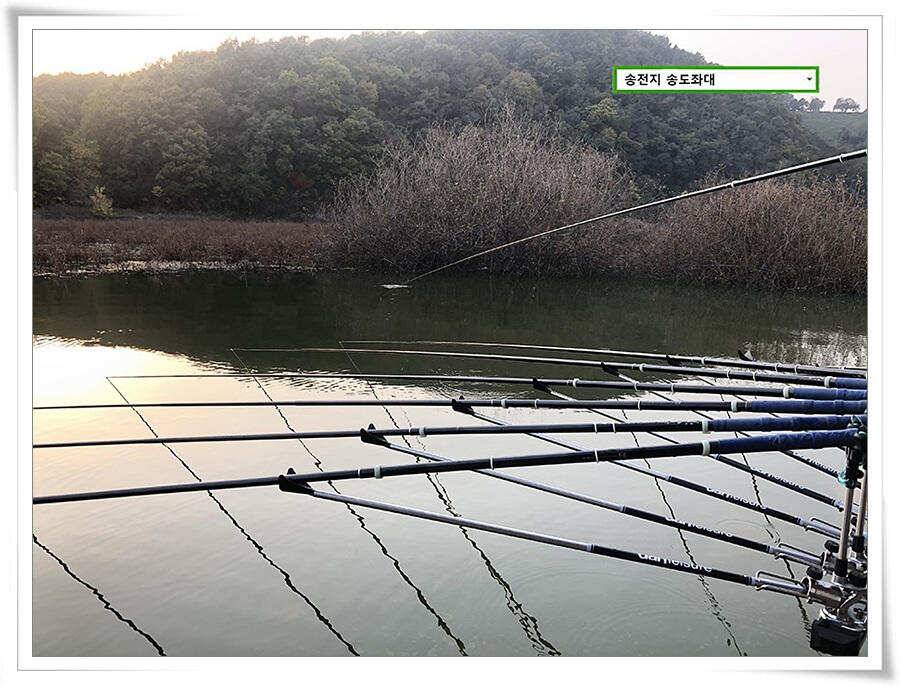 시즌 막바지 (유료터정보 - 유료터점주조황)