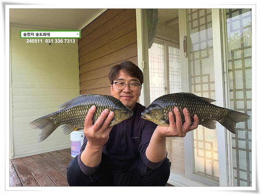 허리급 마릿수 (유료터정보 - 유료터점주조황)