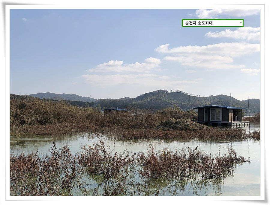 시즌 막바지 (유료터정보 - 유료터점주조황)