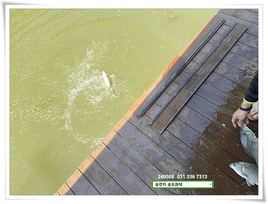 밤 낚시 (유료터정보 - 유료터점주조황)