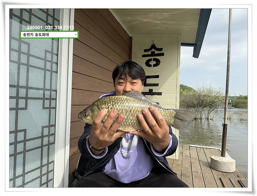 계절의 여왕 5월 첫 덩어리 (유료터정보 - 유료터점주조황)