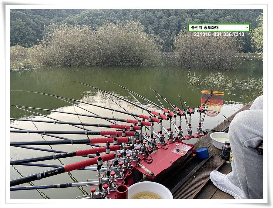 마릿수 (유료터정보 - 유료터점주조황)