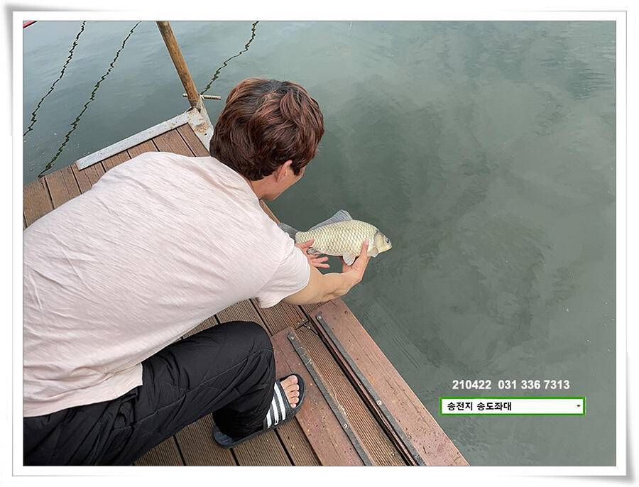 다시 만난 4짜송전지 송도좌대 조황 (유료터정보 - 유료터점주조황)