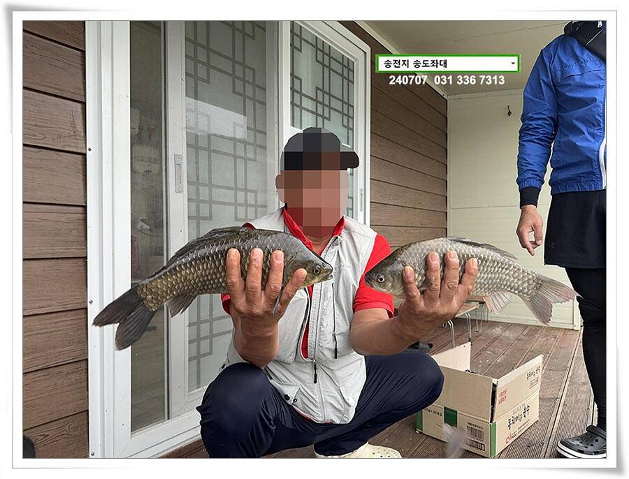 강풍에 허리급 (유료터정보 - 유료터점주조황)