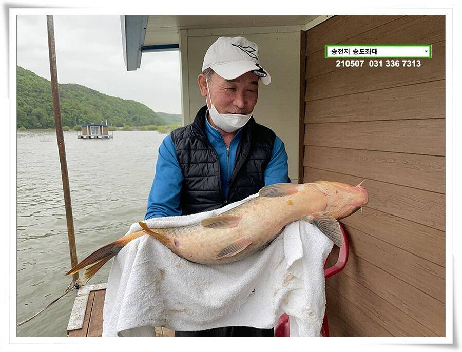 풍파에도 허리급송전지 송도좌대 조황 (유료터정보 - 유료터점주조황)