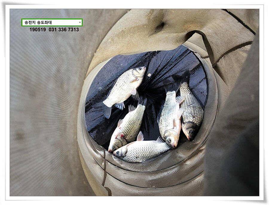 송도좌대 근황 (유료터정보 - 유료터점주조황)