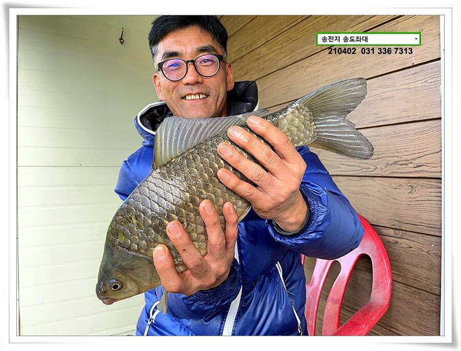 4짜 잼 꿀 잼 용인송전지 송도좌대 조황 (유료터정보 - 유료터점주조황)