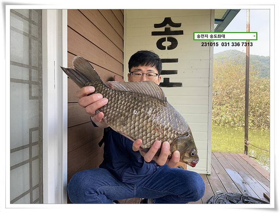 4짜 혹은 마릿수 (유료터정보 - 유료터점주조황)