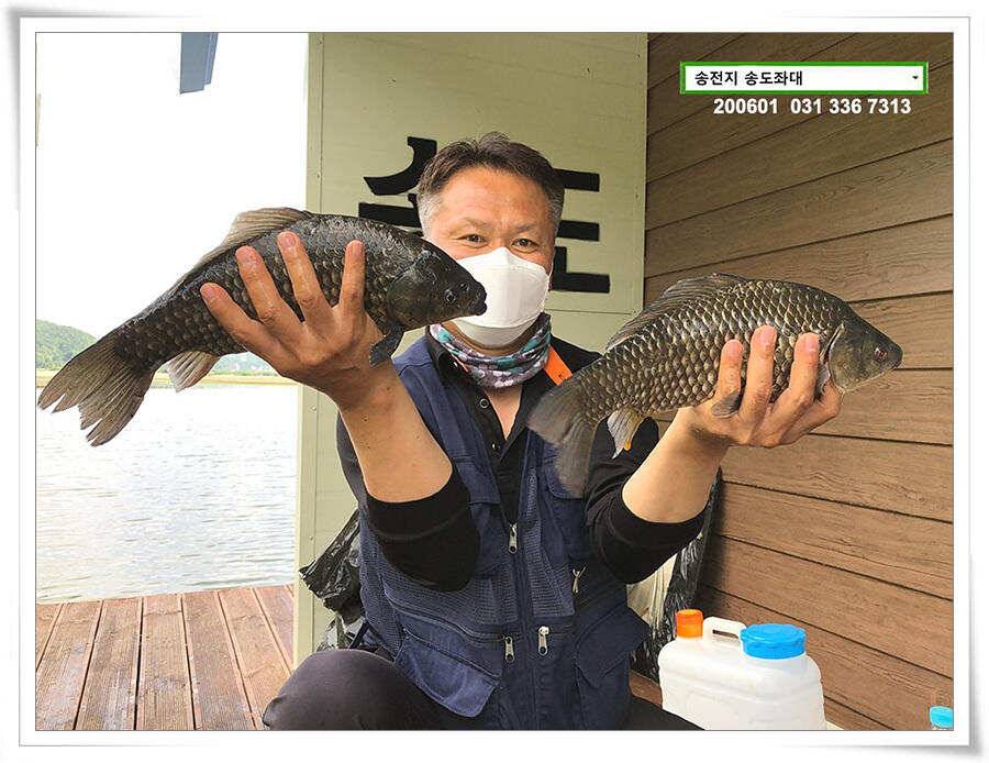 송전지 송전낚시터 송도좌대 조황 (유료터정보 - 유료터점주조황)