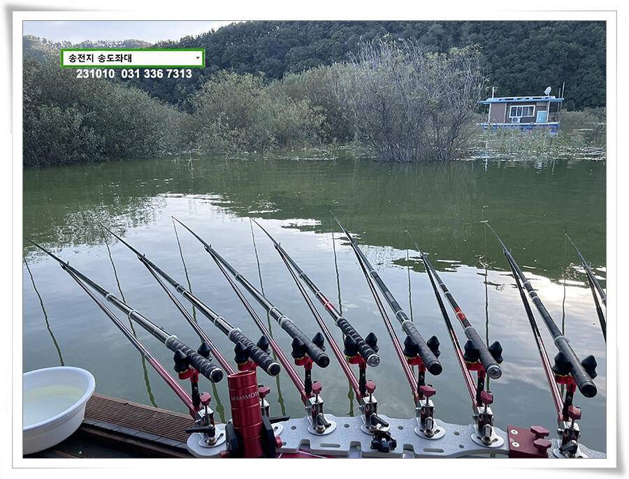 스멀스멀 가을붕어 (유료터정보 - 유료터점주조황)