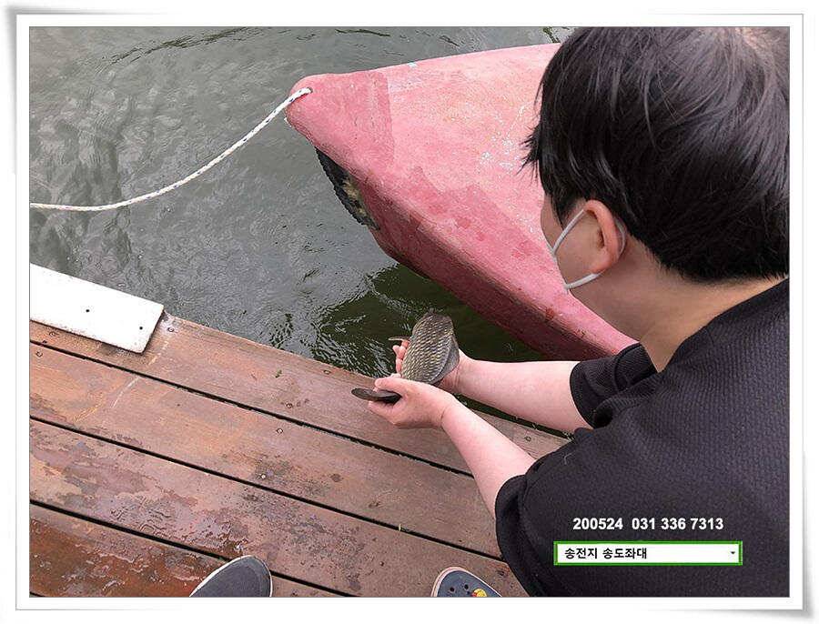 거꾸로 가는 송전지 시계 (유료터정보 - 유료터점주조황)