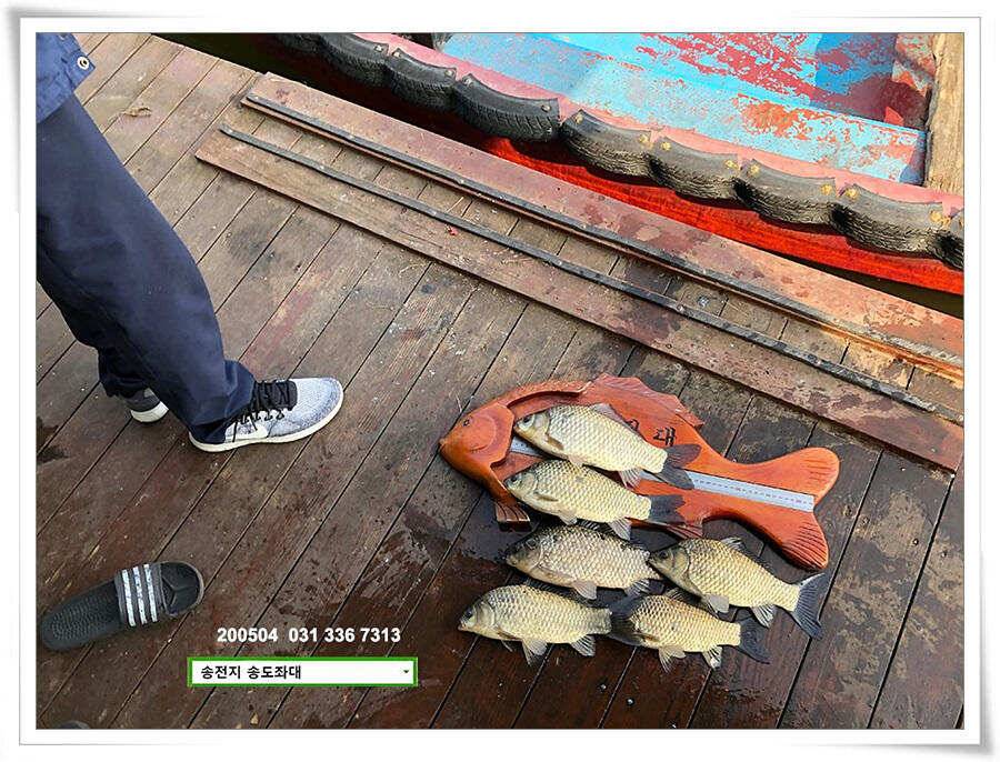 송전지 송도좌대 연휴조황 (유료터정보 - 유료터점주조황)