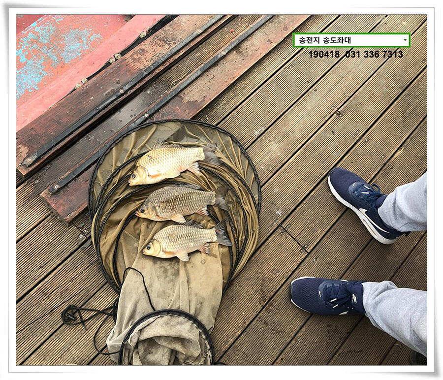꽃피는 봄이 오면 (유료터정보 - 유료터점주조황)