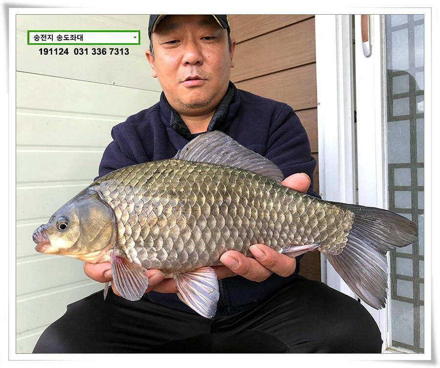 11월의 어느 멋진 날에 (유료터정보 - 유료터점주조황)