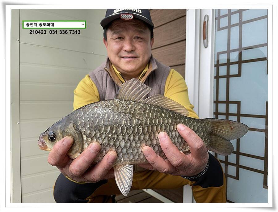4짜의 산란 ing송전지 송도좌대 조황 (유료터정보 - 유료터점주조황)