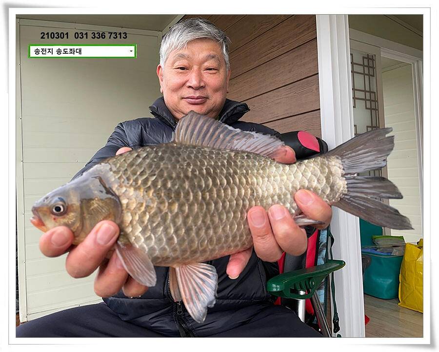 봄 볕 받아내는 송전지 송도좌대 조황 (유료터정보 - 유료터점주조황)