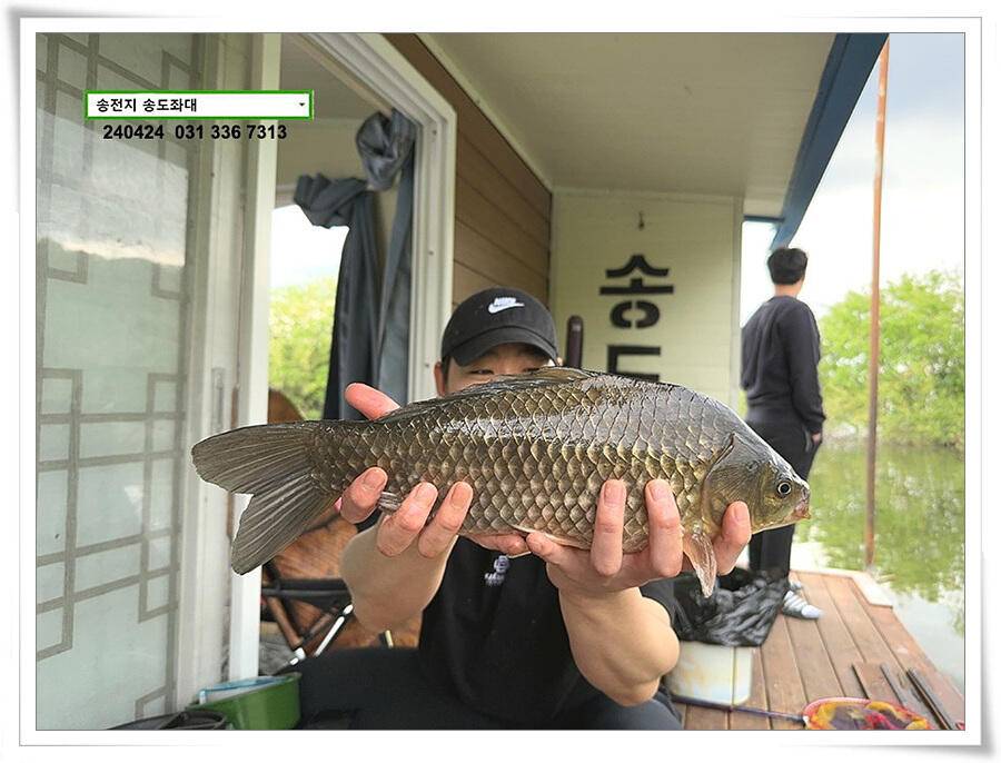 비 속의 4짜 (유료터정보 - 유료터점주조황)
