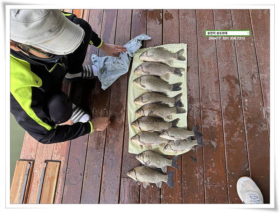 4짜는 산란중 (유료터정보 - 유료터점주조황)