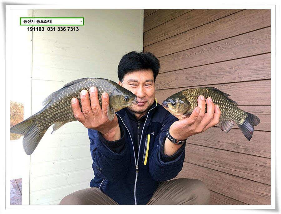 시즌 막바지 (유료터정보 - 유료터점주조황)