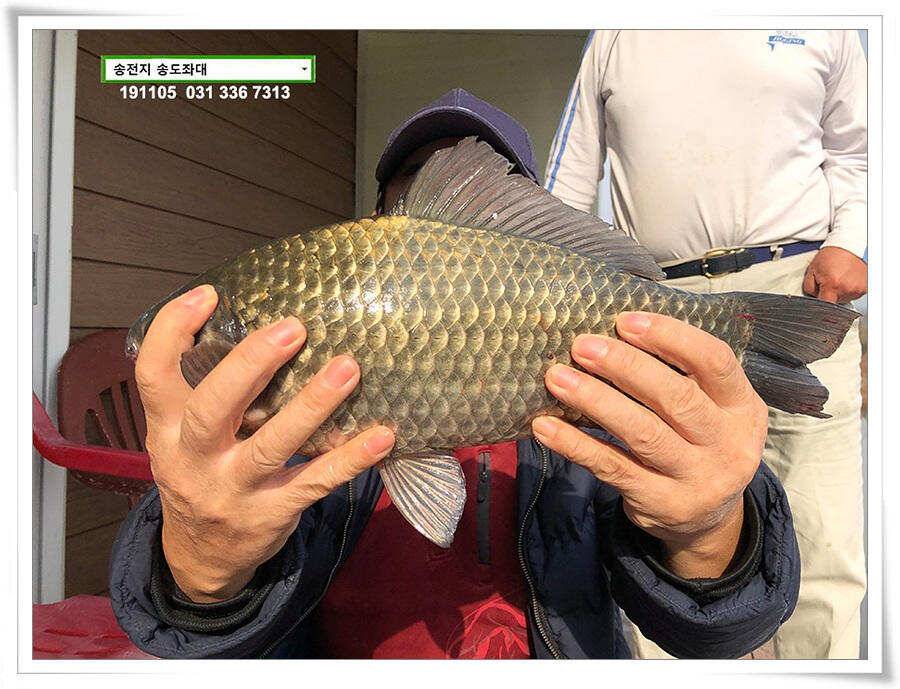 9회말 2사만루 2S 3B (유료터정보 - 유료터점주조황)