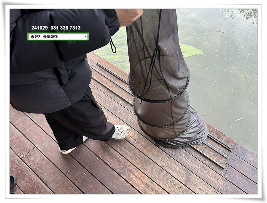 당신이 잠든 사이 (유료터정보 - 유료터점주조황)