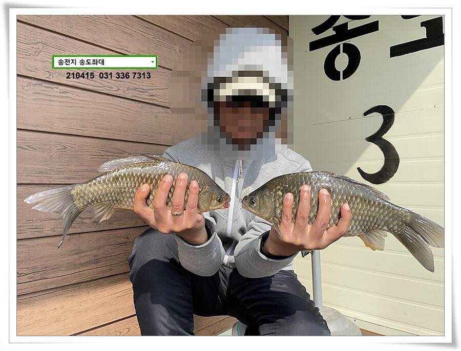 4짜와 허리급송전지 송도집 좌대 조황 (유료터정보 - 유료터점주조황)
