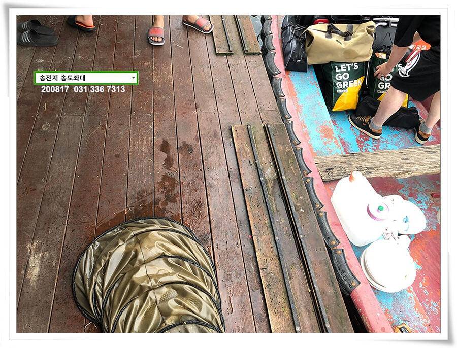 안정세 찾은 송전지 송도좌대 조황 (유료터정보 - 유료터점주조황)