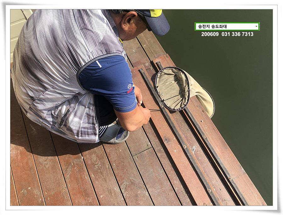 송전지 송도좌대 조황 (유료터정보 - 유료터점주조황)
