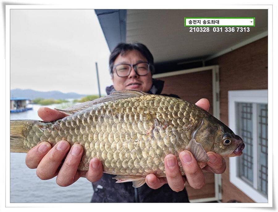 바람과 구름과 4짜 송전지 송도집 좌대 조황 (유료터정보 - 유료터점주조황)