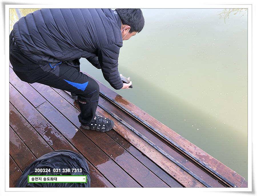 덩어리 등판하는 송전지 송도좌대 조황 (유료터정보 - 유료터점주조황)