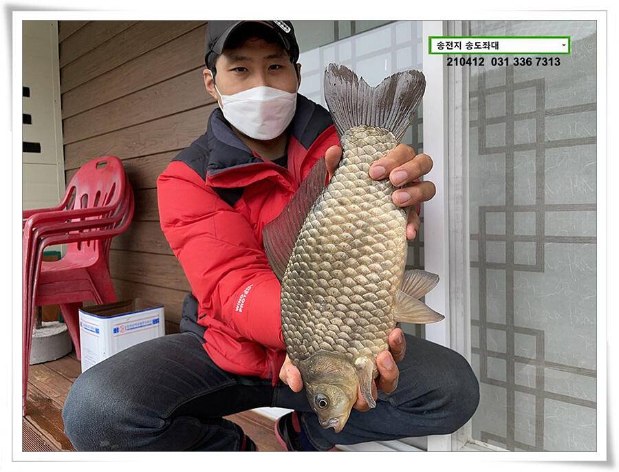 435cm송전지 송도좌대 조황 (유료터정보 - 유료터점주조황)