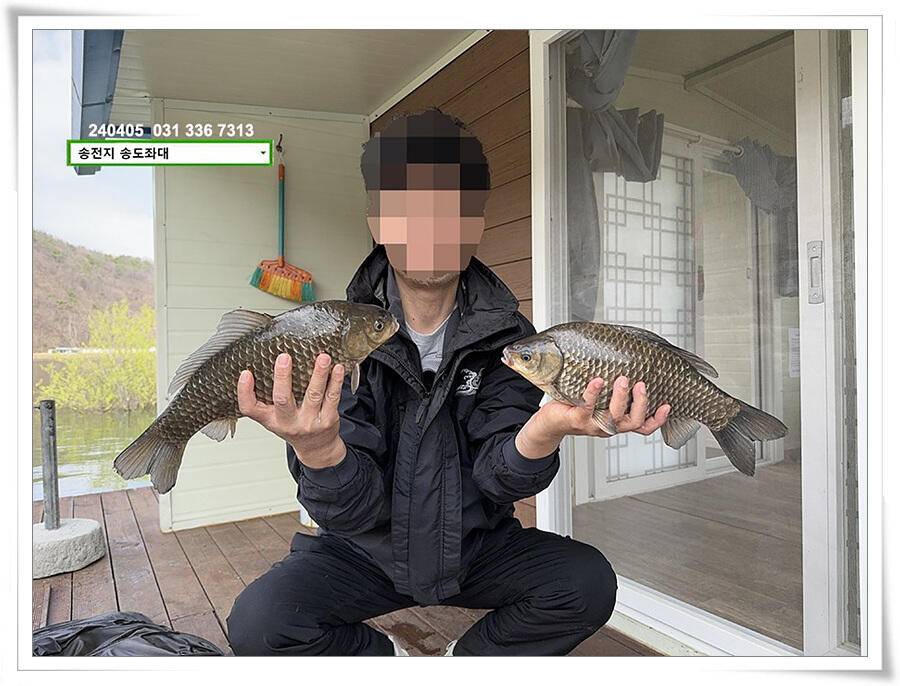 덩어리의 산란 (유료터정보 - 유료터점주조황)