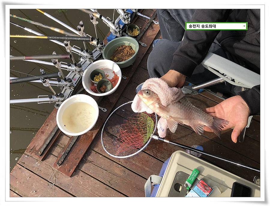 9월 마지막 주말 송전지 송도좌대 조황 (유료터정보 - 유료터점주조황)