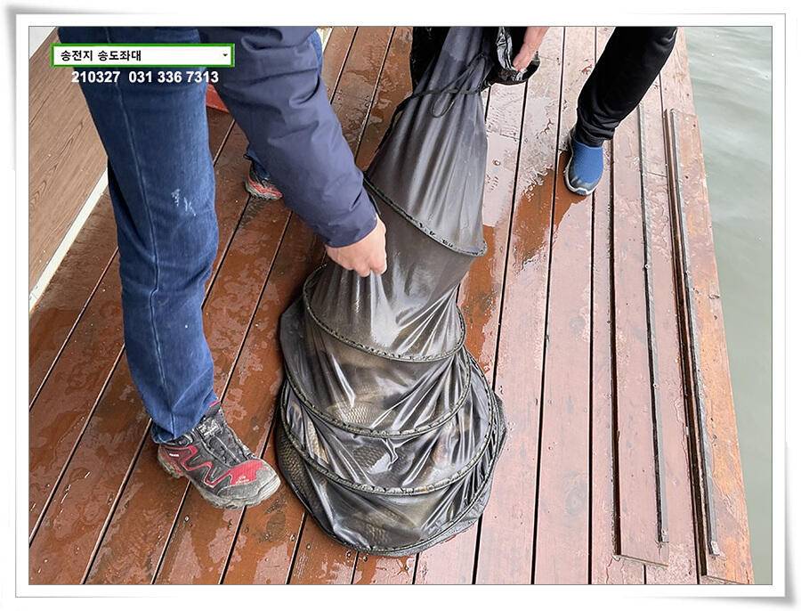 바람과 구름과 4짜 송전지 송도집 좌대 조황 (유료터정보 - 유료터점주조황)