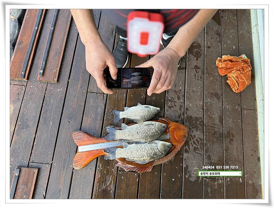 비 속의 4짜 (유료터정보 - 유료터점주조황)