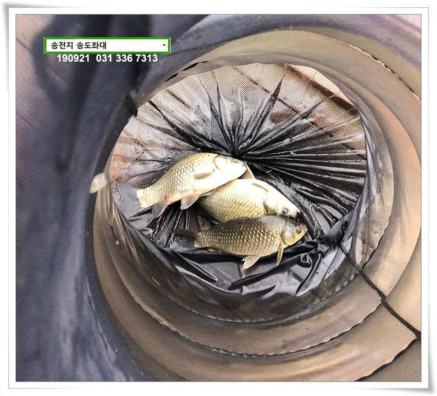 추분 지나는 가을 저수지 (유료터정보 - 유료터점주조황)