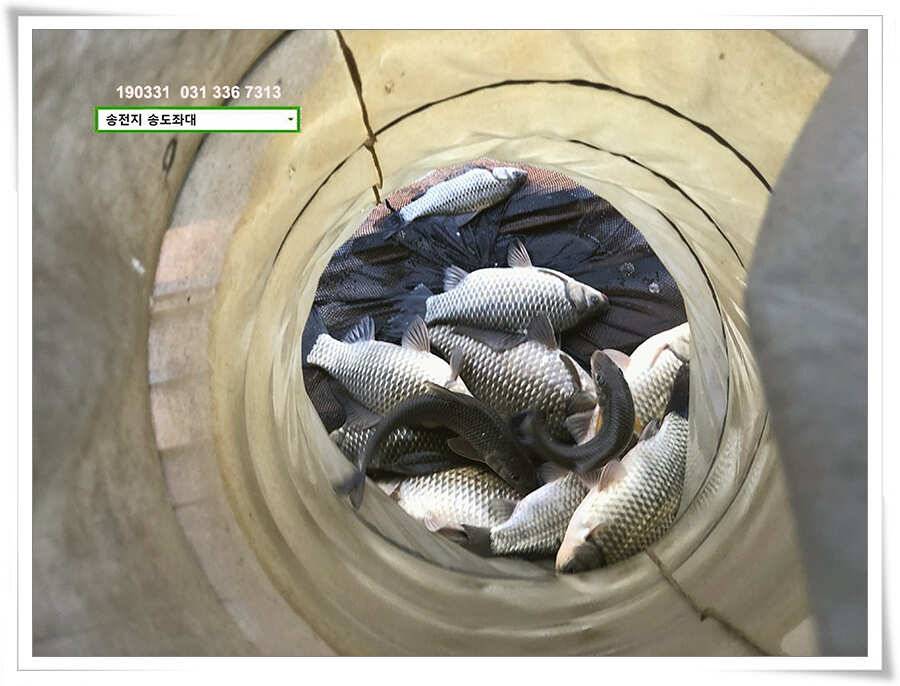 천만다행 얼굴보게돼서 천만다행 (유료터정보 - 유료터점주조황)