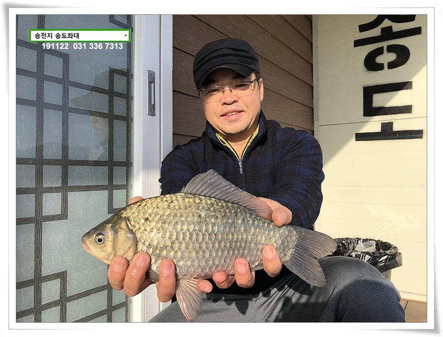 11월의 어느 멋진 날에 (유료터정보 - 유료터점주조황)