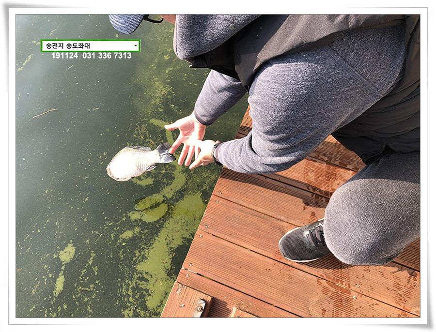 11월의 어느 멋진 날에 (유료터정보 - 유료터점주조황)