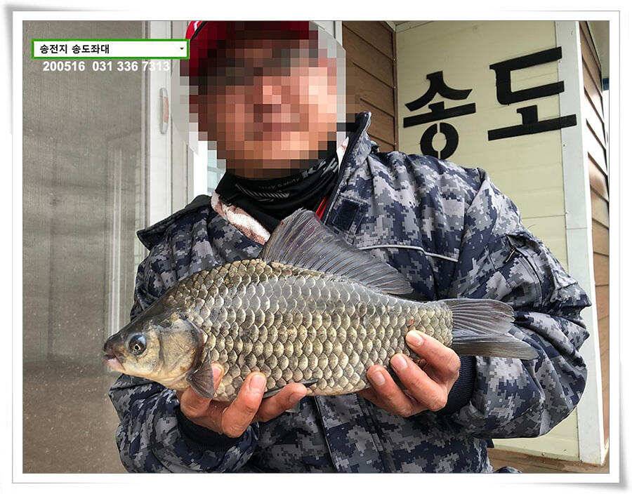 송전지 송도집 좌대 조황 (유료터정보 - 유료터점주조황)